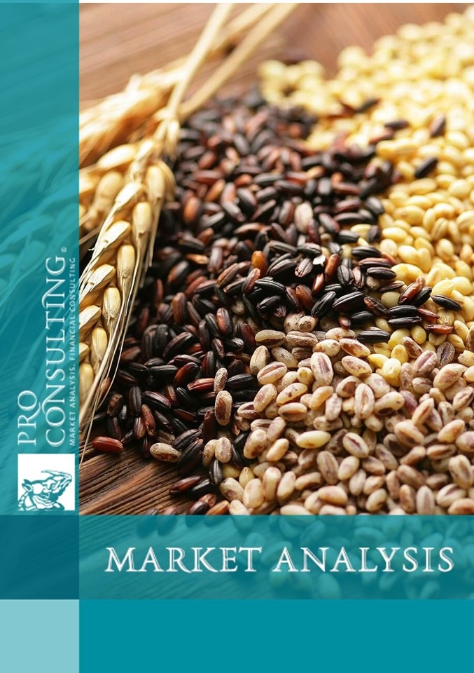 Market research report on grain in Ukraine. 2024 year